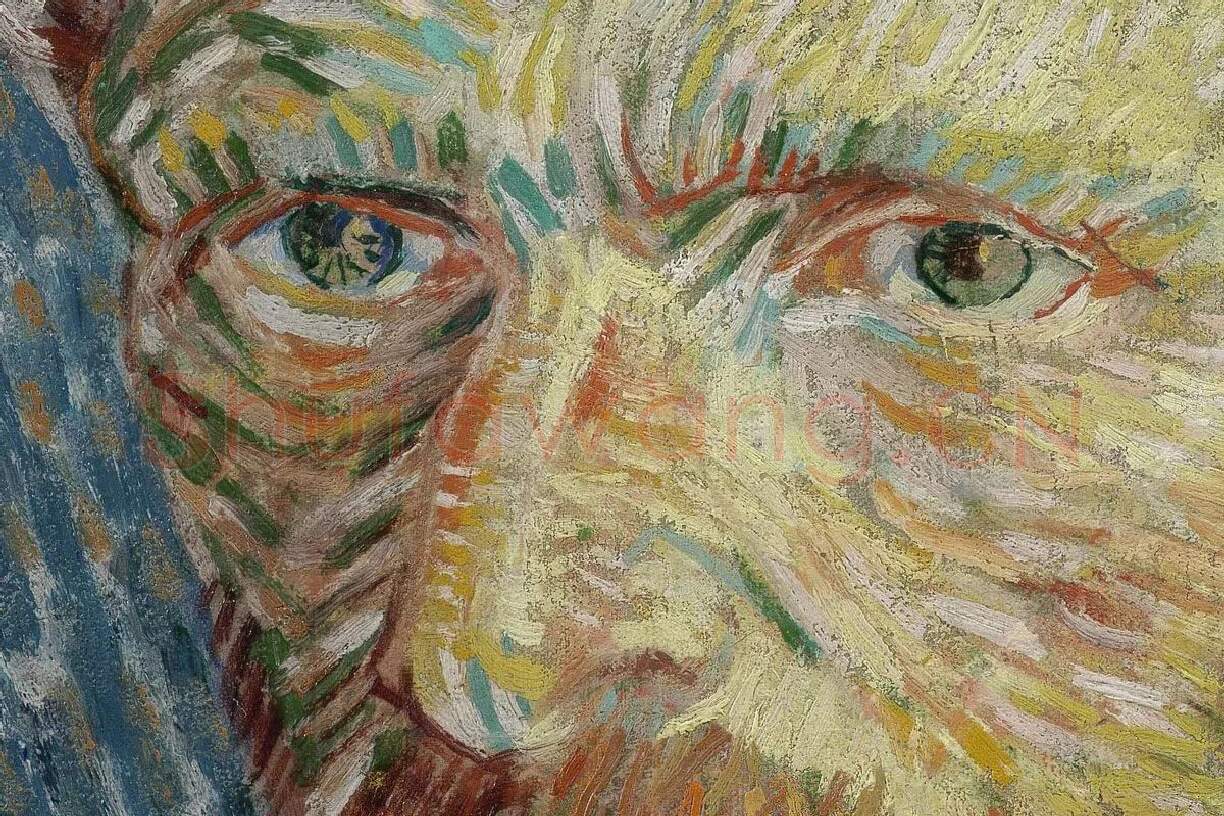 梵高油画作品《戴毡帽的自画像》局部 (1)