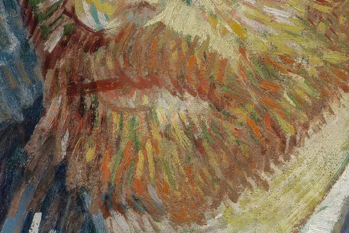 梵高油画作品《戴毡帽的自画像》局部 (2)