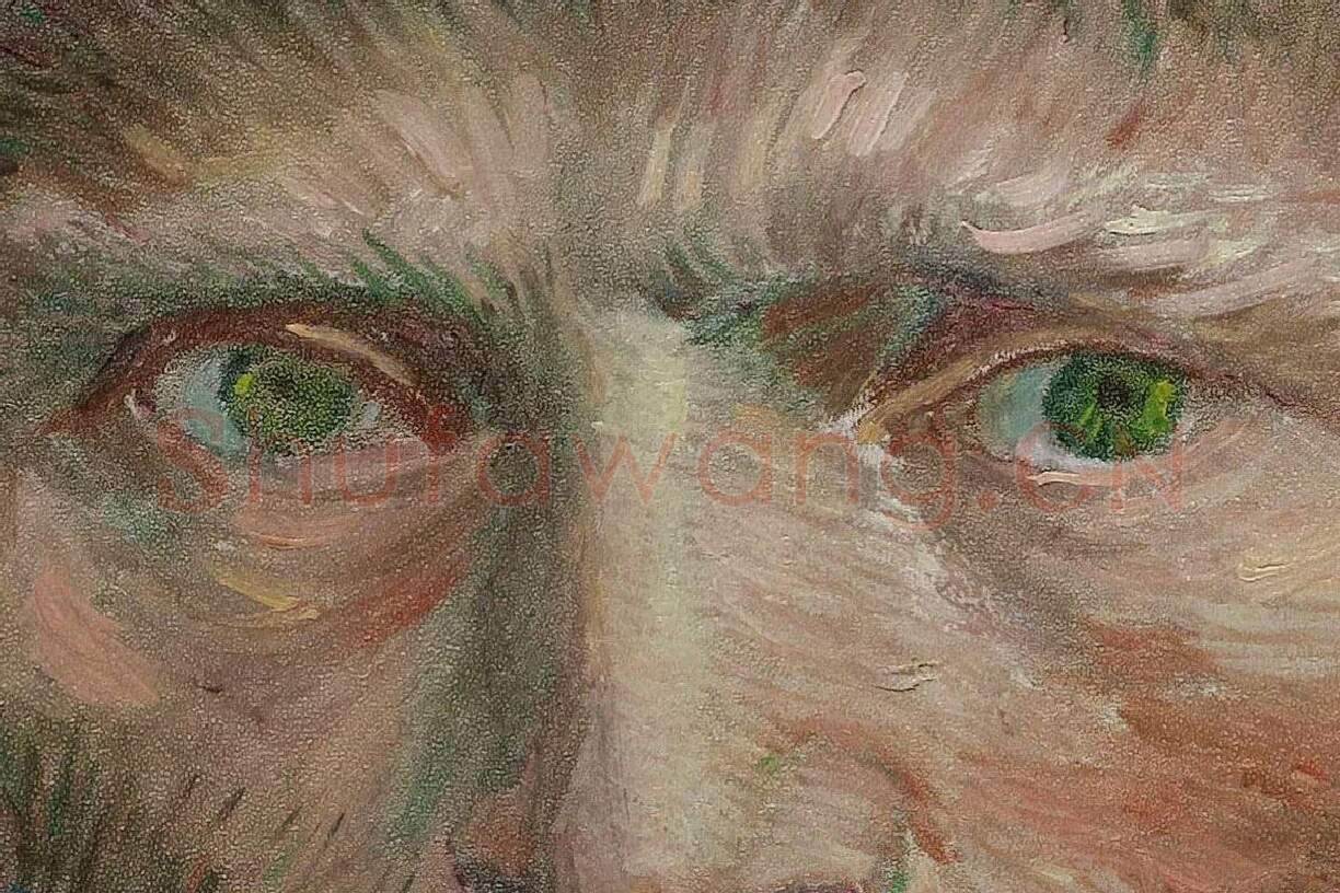 梵高作品《戴灰色毡帽的自画像》局部 (1)