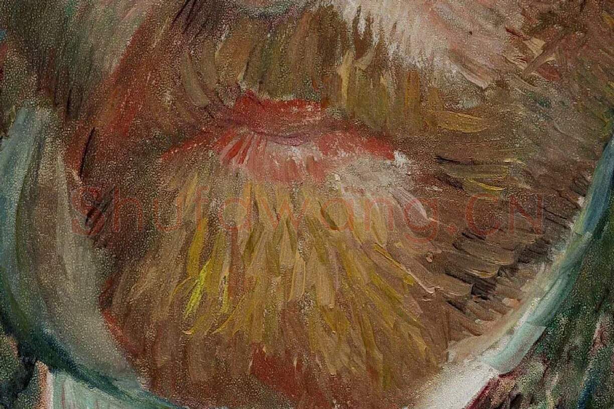 梵高作品《戴灰色毡帽的自画像》局部 (2)