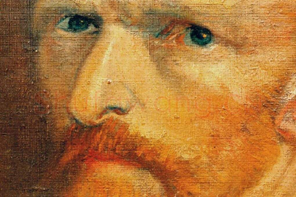 梵高油画头像《自画像》局部 (1)