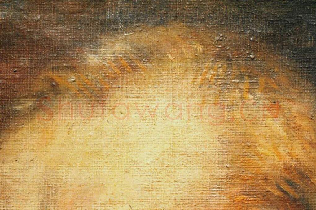 梵高油画头像《自画像》局部 (4)