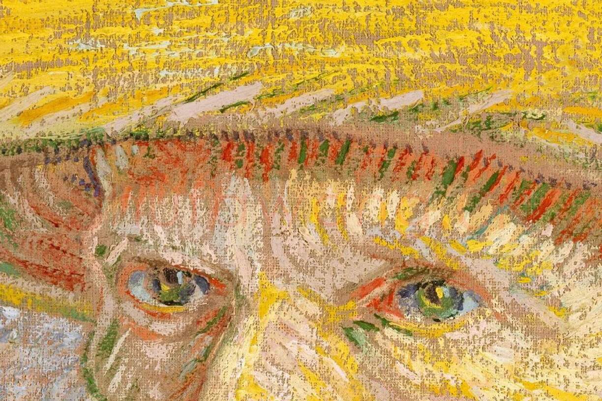 梵高1887年《戴草帽的自画像》油画作品局部 (1)