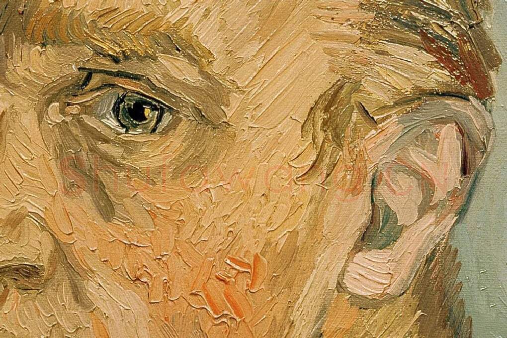 梵高《没有胡须的自画像》局部 (3)