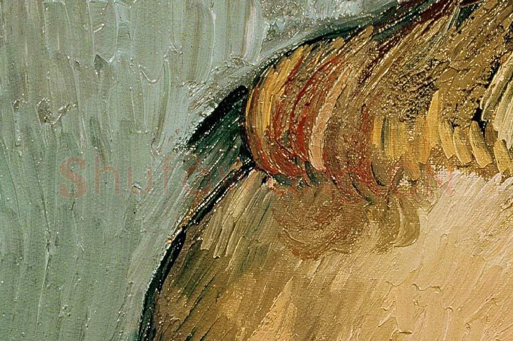 梵高《没有胡须的自画像》局部 (6)