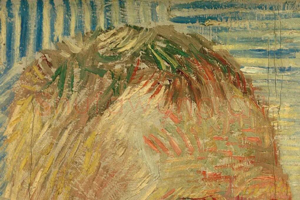 梵高1887年自画像作品局部 (2)