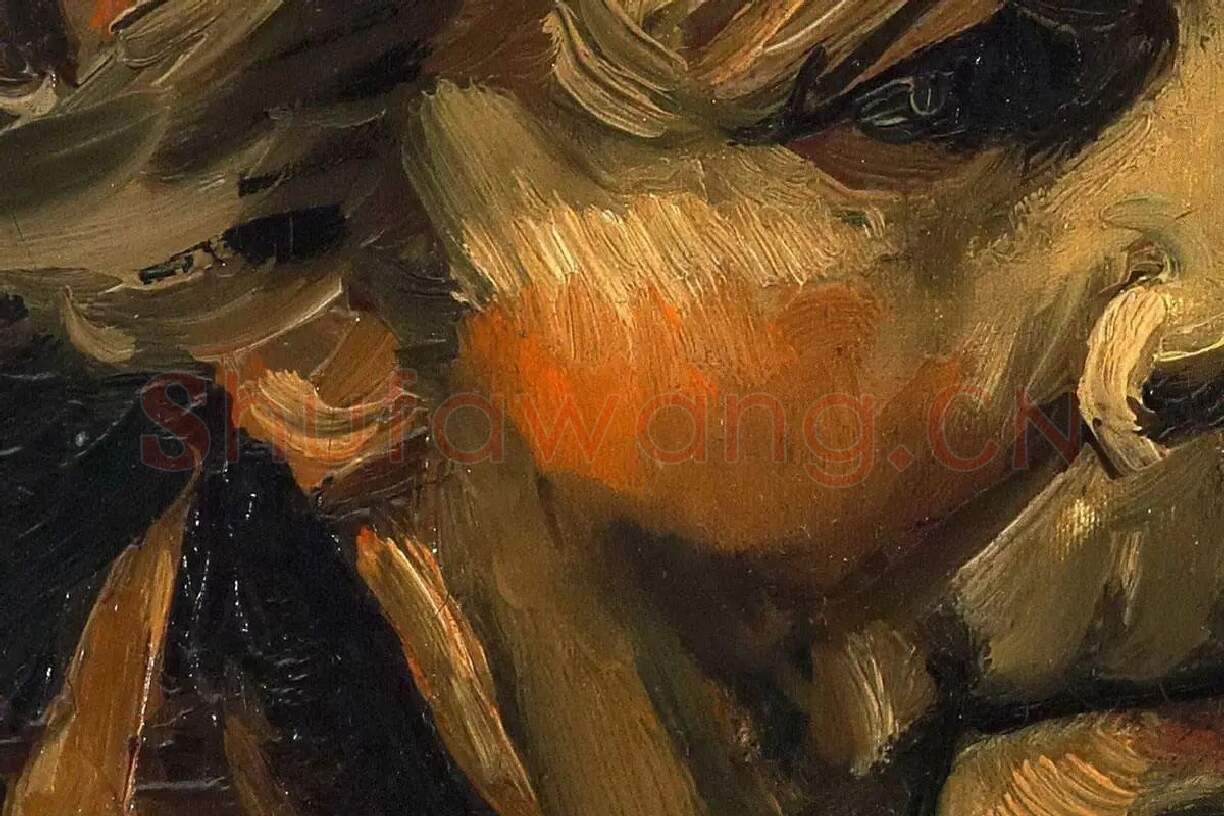 梵高油画头像作品《男性农民头像》高清图局部细节 (2)