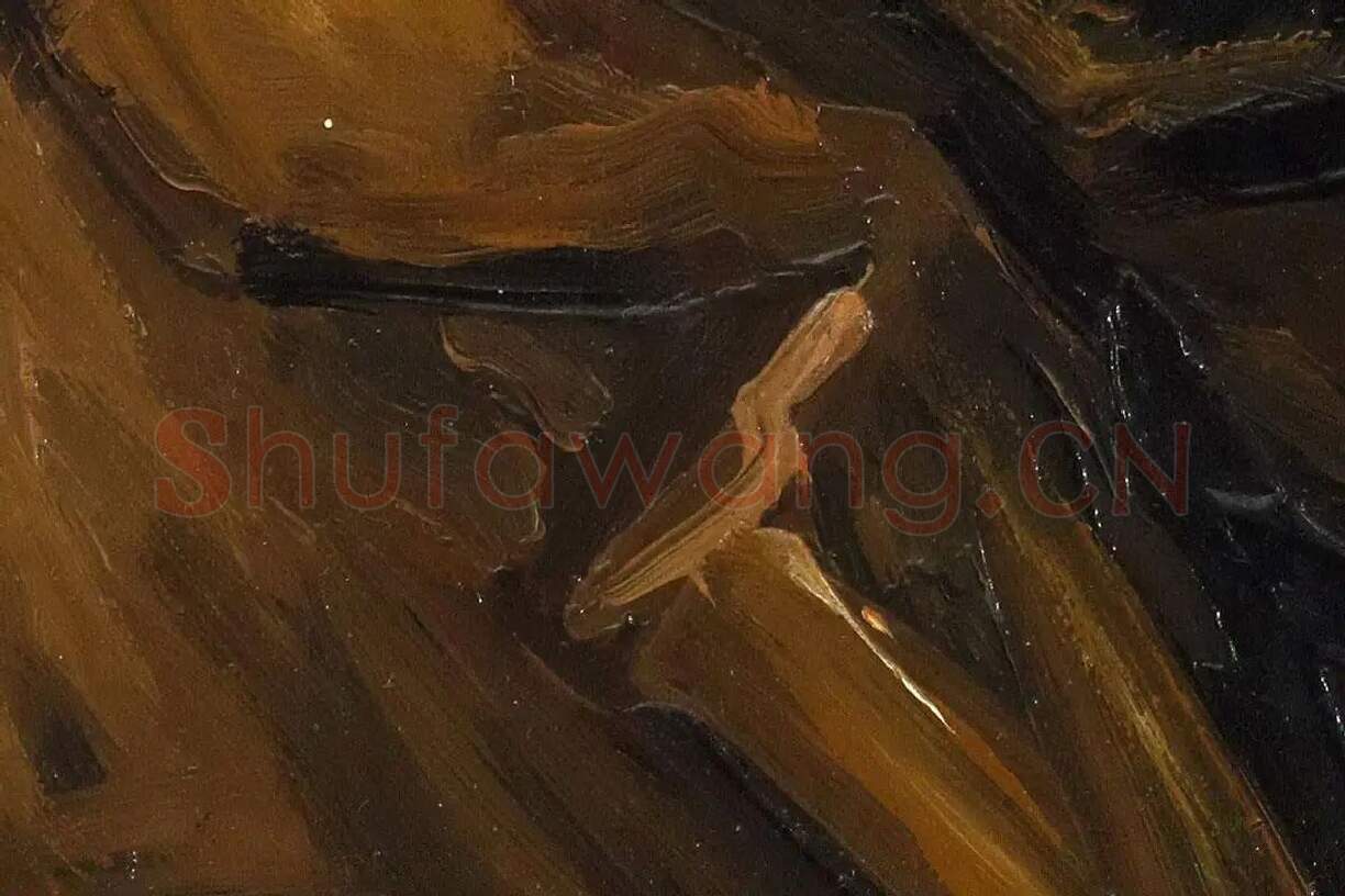 梵高油画头像作品《男性农民头像》高清图局部细节 (5)