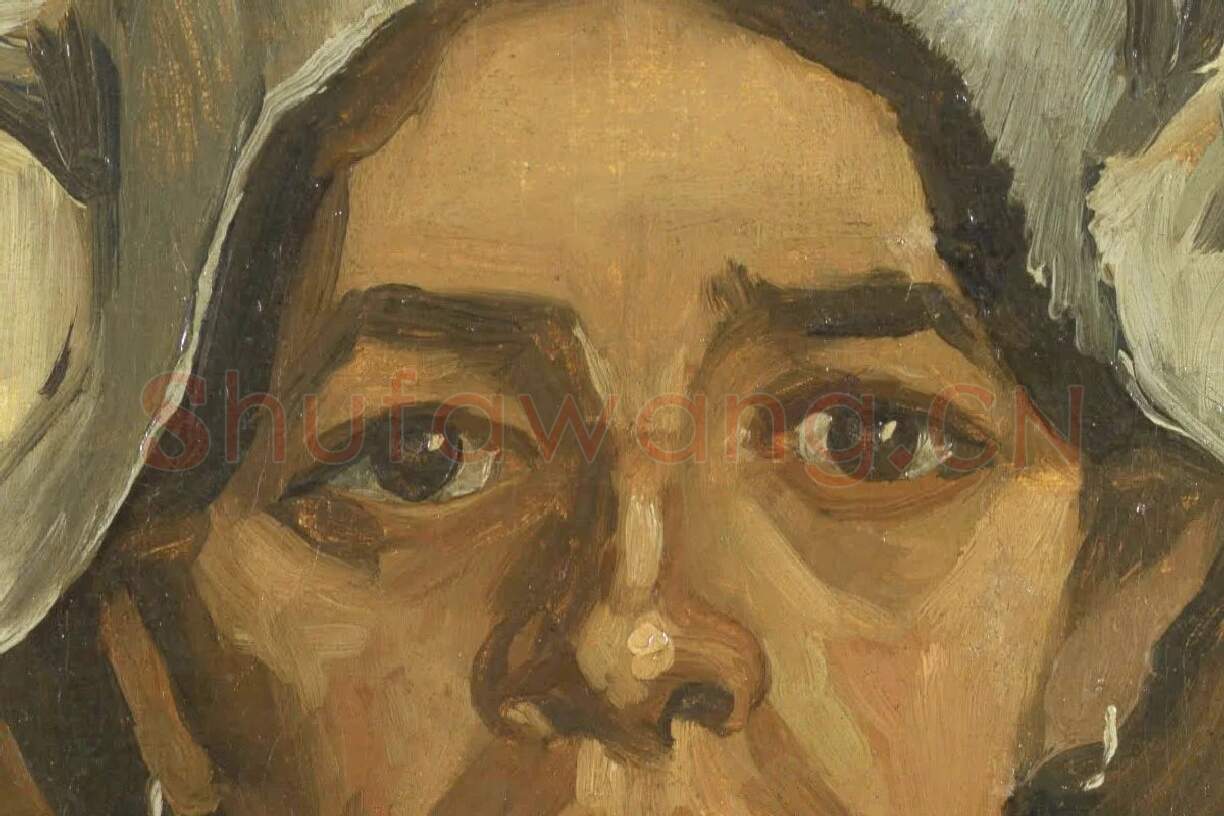 梵高油画头像《一个女人的头像》局部 (1)