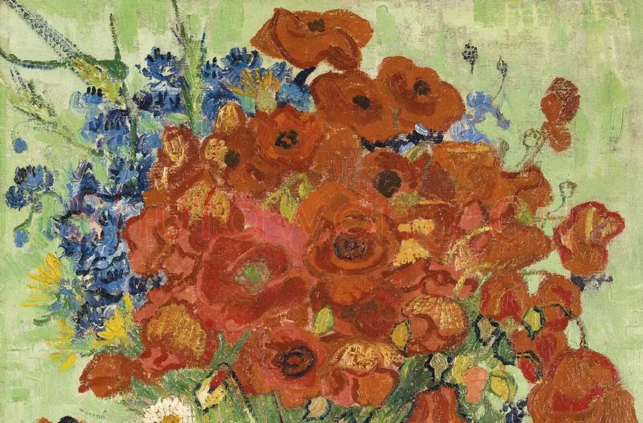 梵高花卉画作品《红色罂粟和雏菊》_01