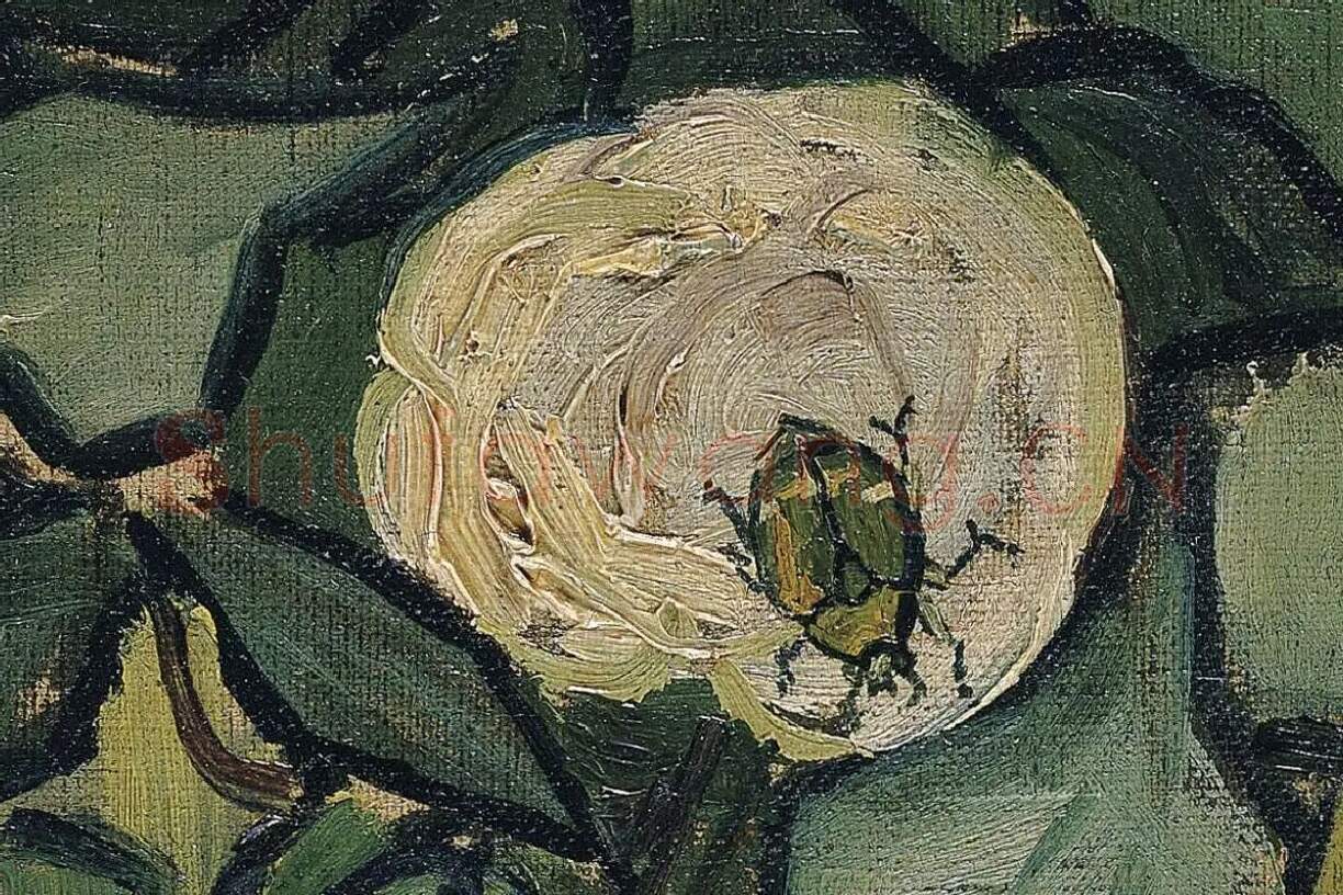 梵高花卉画作品《玫瑰和甲虫》高清大图局部细节 (2)