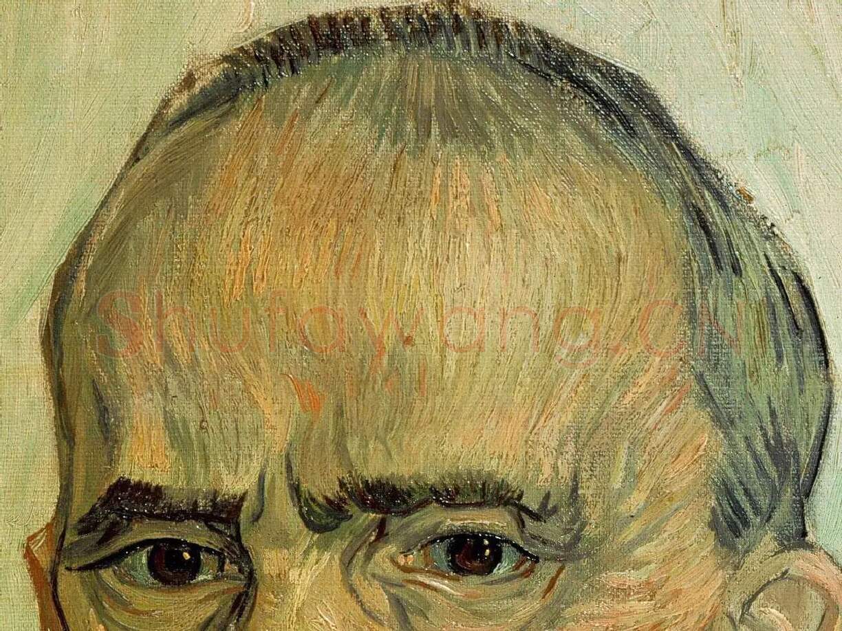 梵高油画作品《圣保罗医院的护理员特拉布克》局部 (2)