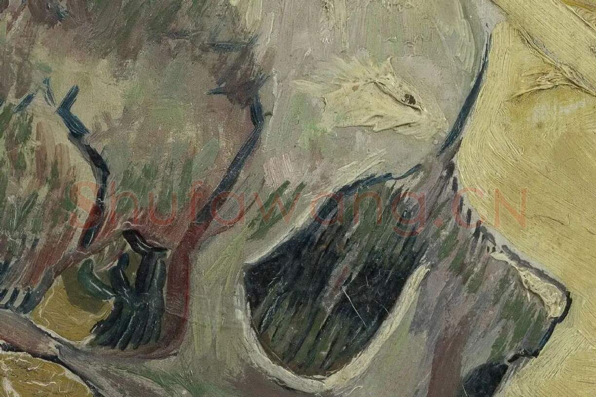 梵高油画习作《侧面的骷髅》高清大图局部细节 (1)