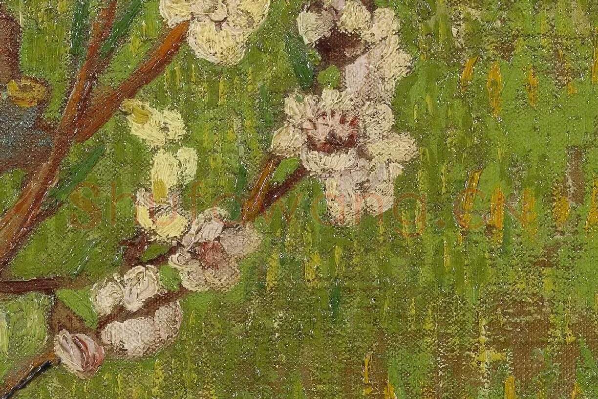 梵高作品《盛开的杏花》高清大图局部细节 (3)