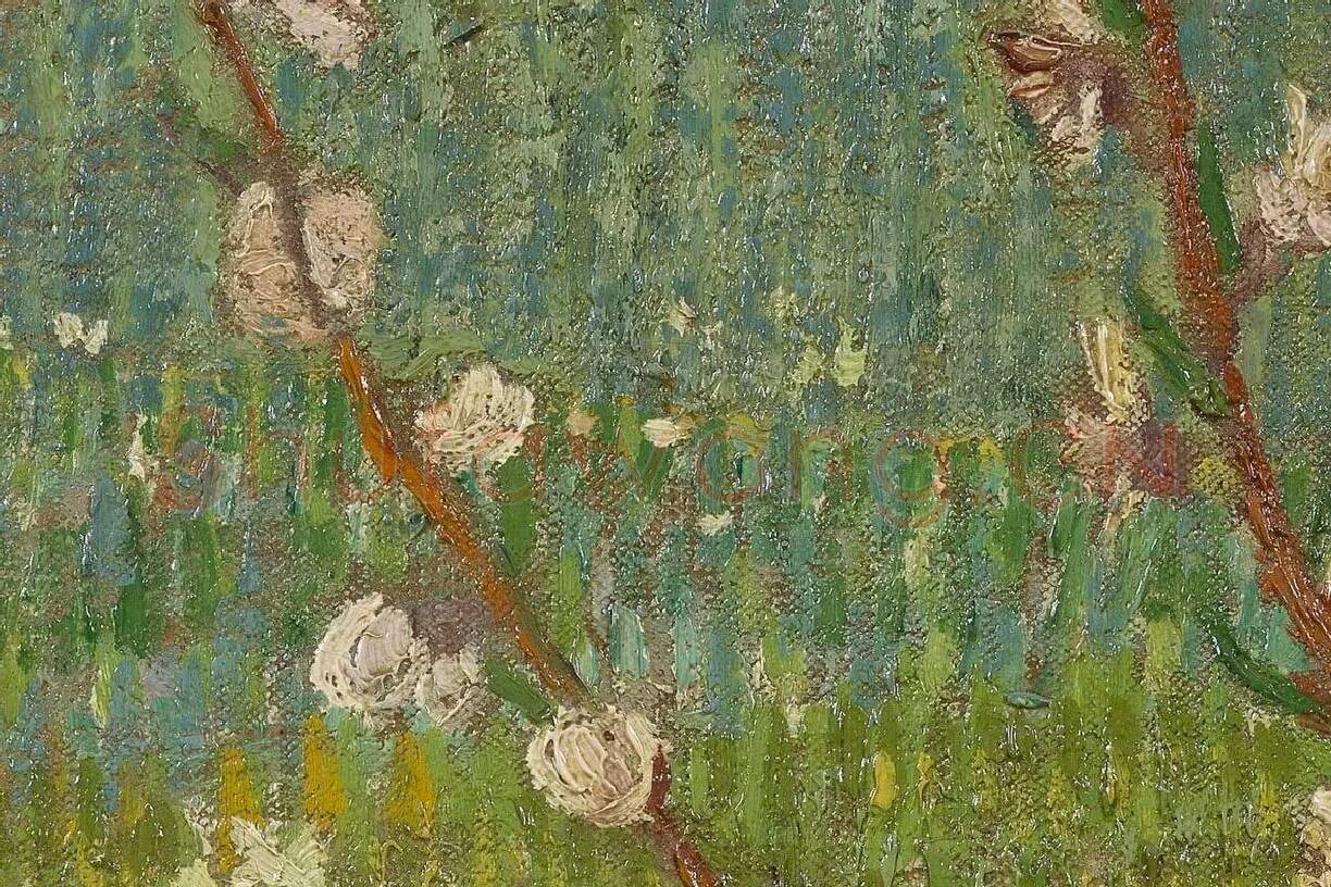 梵高作品《盛开的杏花》高清大图局部细节 (5)