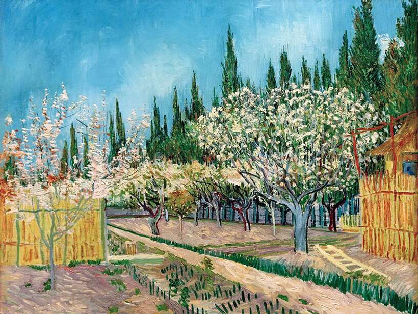 梵高油画风景《盛开的果园，四周环绕着柏树》