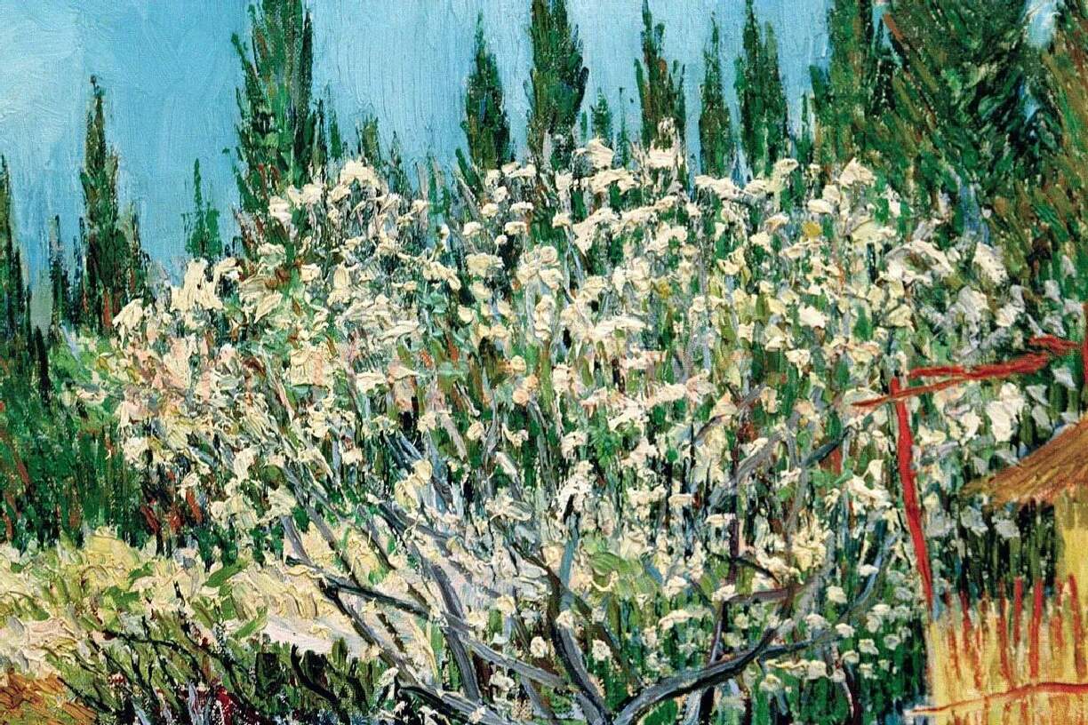 梵高油画风景《盛开的果园》局部 (2)