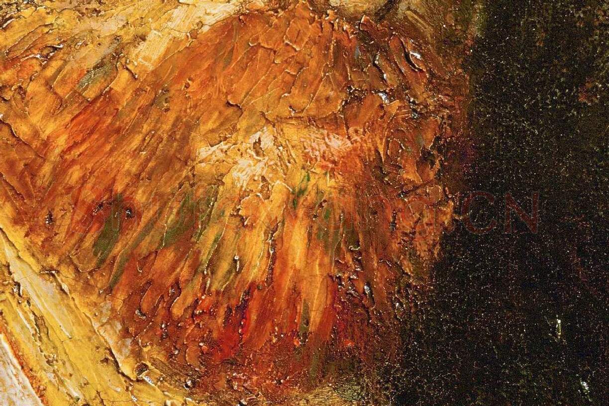 文森特·梵高油画自画像作品局部 (2)