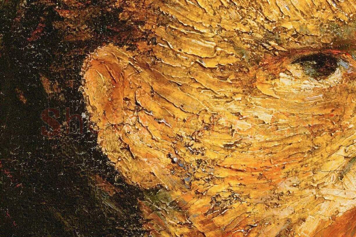 文森特·梵高油画自画像作品局部 (3)