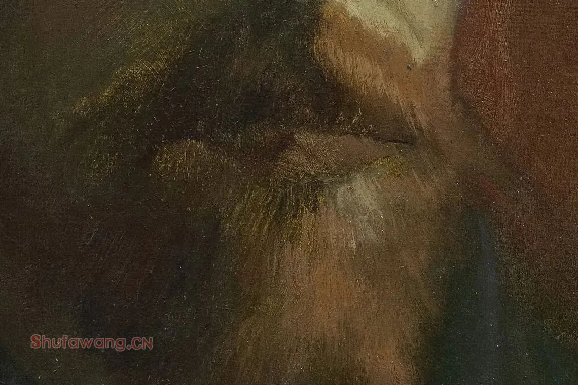 梵高1886年《戴深色毡帽的自画像》局部 (2)