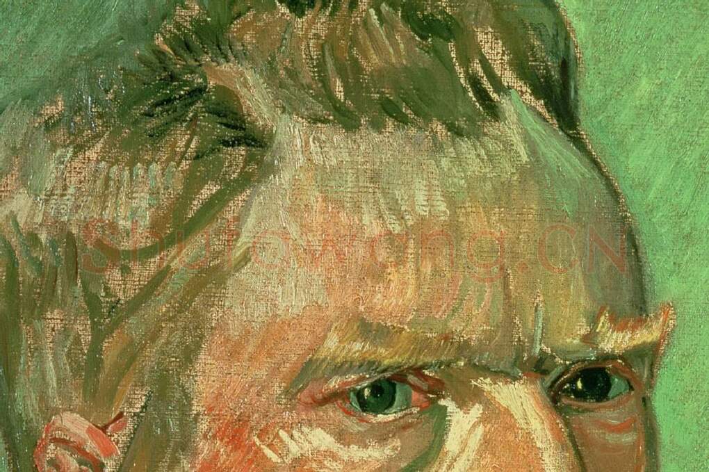 文森特·梵高自画像作品局部 (2)