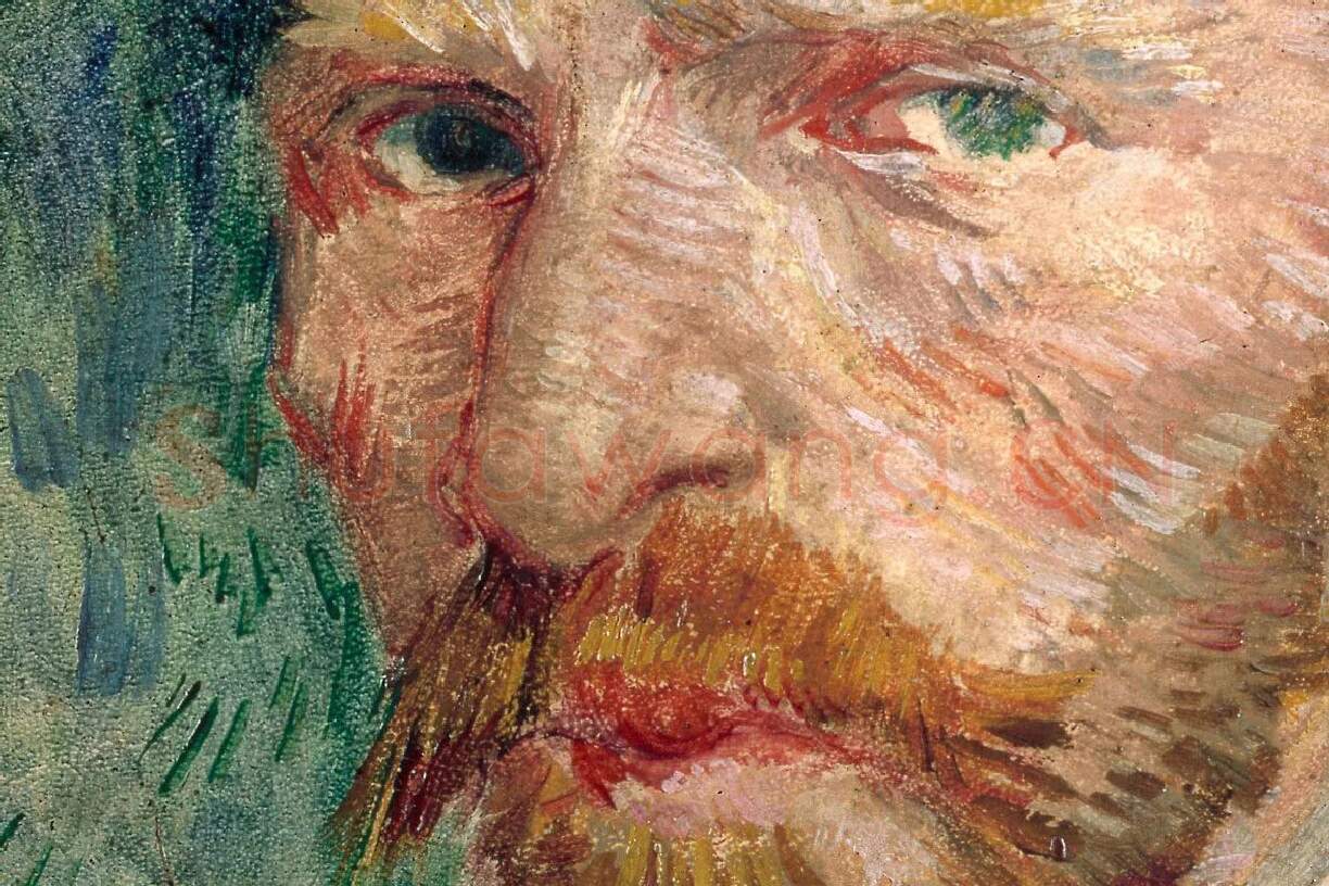 文森特·梵高1887年的自画像局部 (1)