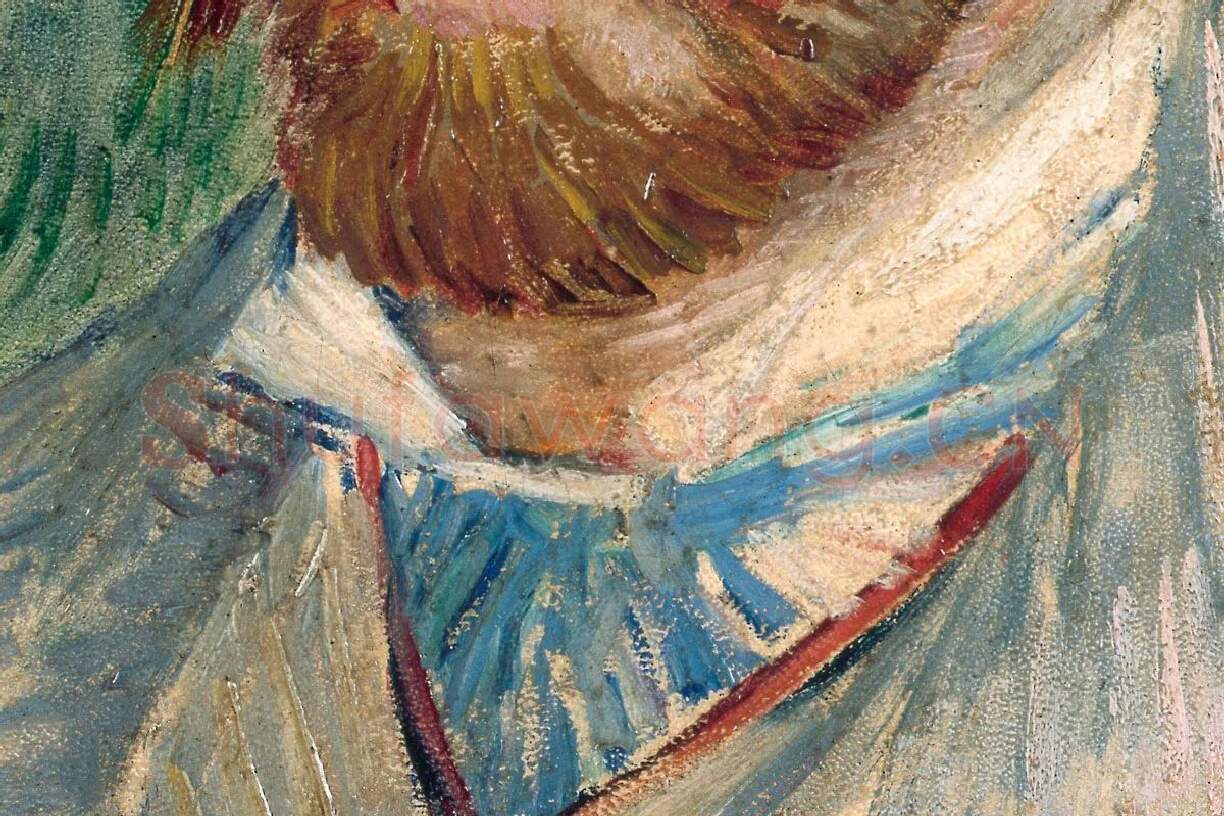 文森特·梵高1887年的自画像局部 (3)