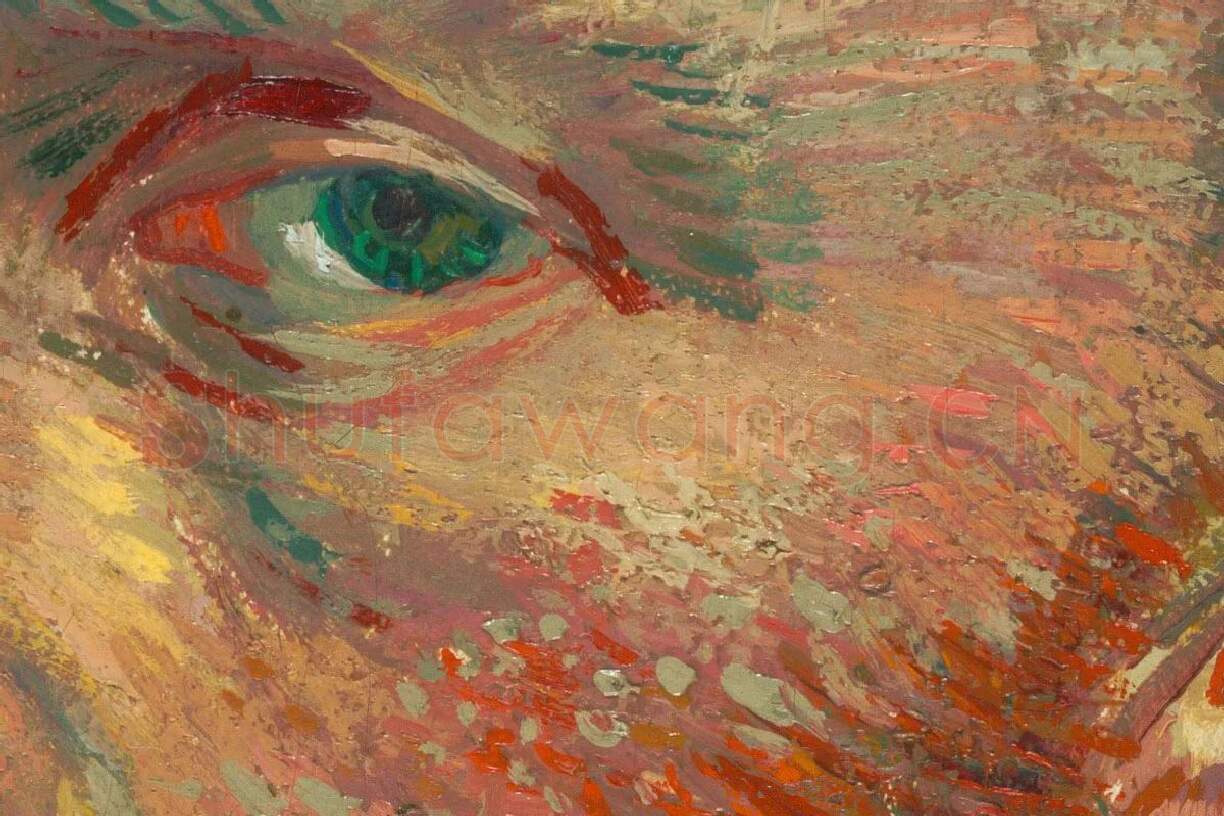 梵高1887年的自画像作品高清大图局部细节 (2)