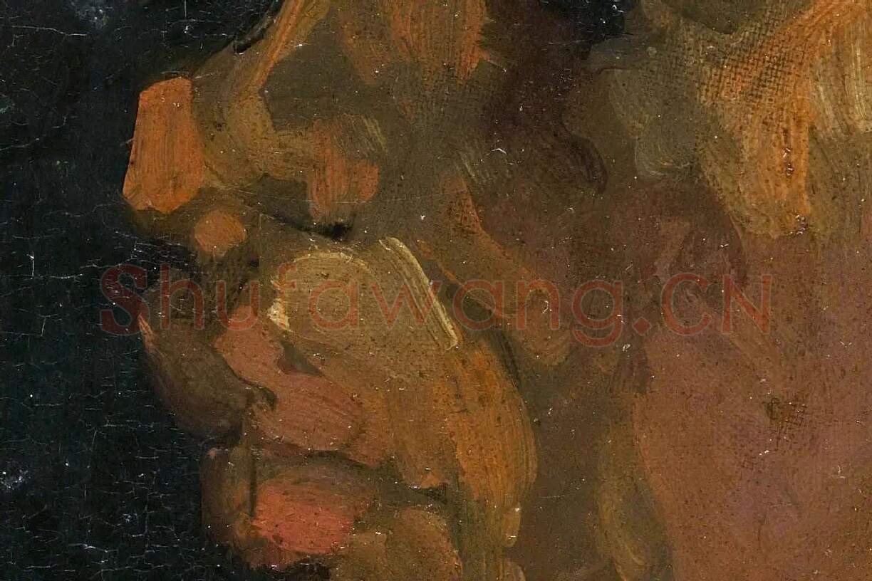 梵高油画头像《戴帽子的农妇侧面头像》局部细节 (1)