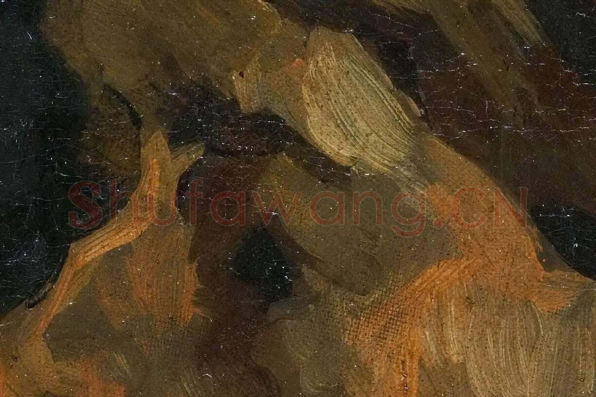 梵高油画头像《戴帽子的农妇侧面头像》局部细节 (2)