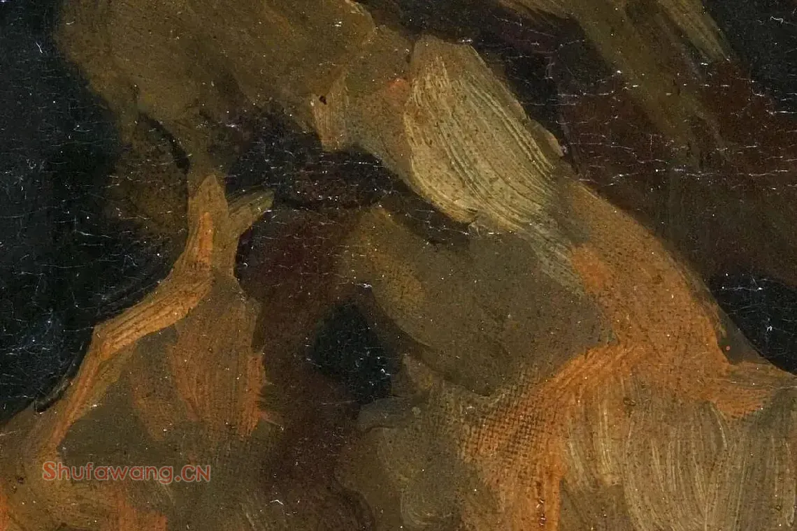 梵高油画头像《戴帽子的农妇侧面头像》局部细节 (2)