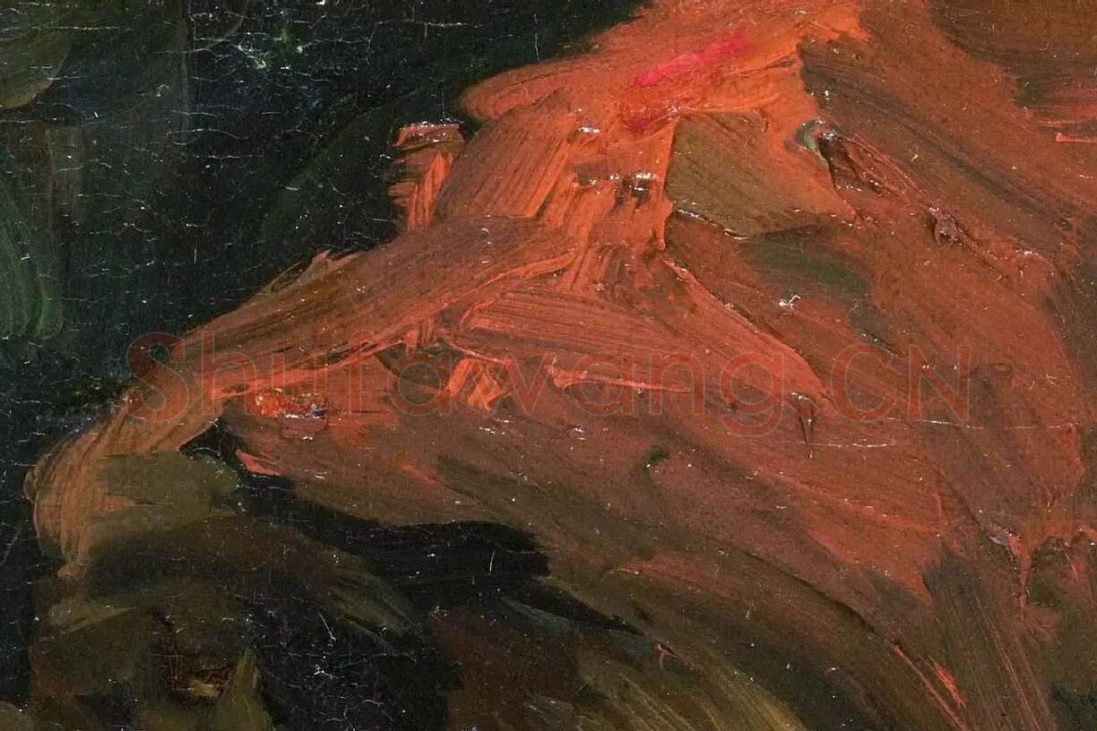 梵高油画头像《戴帽子的农妇侧面头像》局部细节 (5)