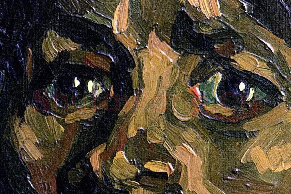 梵高头像作品《农妇》局部 (2)