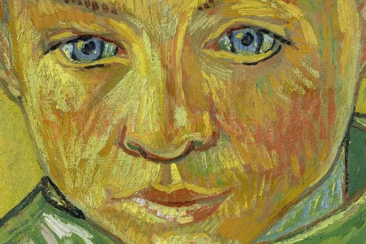 梵高油画人物肖像画《卡米尔·鲁林的肖像》局部 (1)