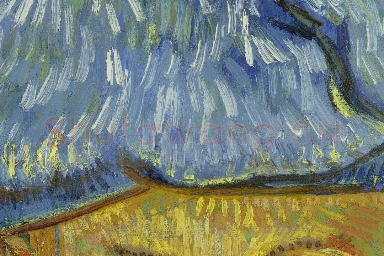 梵高油画人物肖像画《卡米尔·鲁林的肖像》局部 (2)