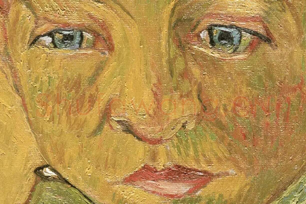 梵高油画人物肖像画《卡米尔·鲁林的肖像》局部 (4)