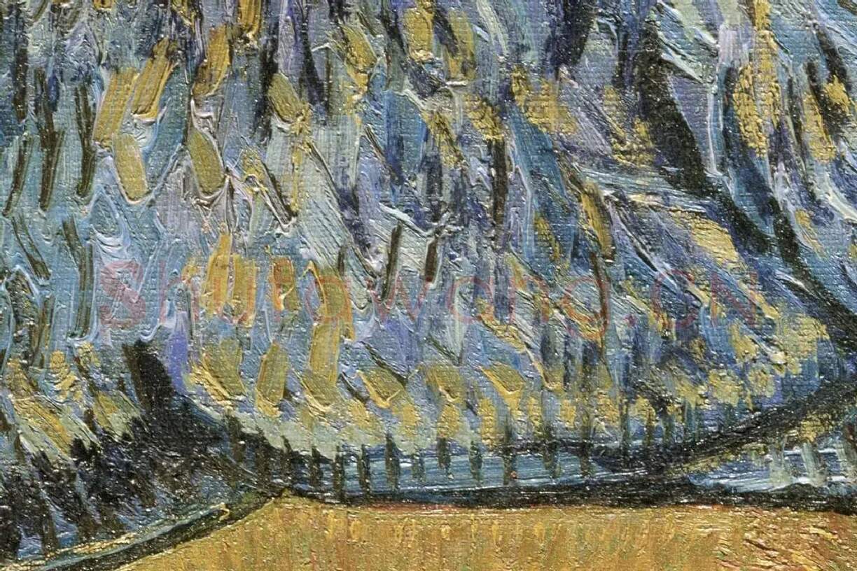 梵高油画人物肖像画《卡米尔·鲁林的肖像》局部 (5)