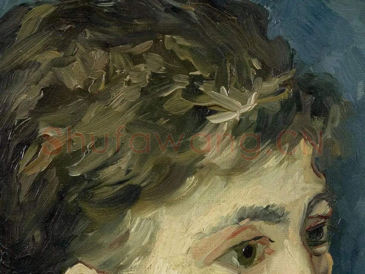 梵高油画作品穿蓝色衣服的女人肖像局部 (2)