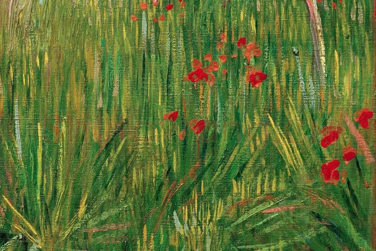 梵高油画《花园里散步的女人》局部 (3)