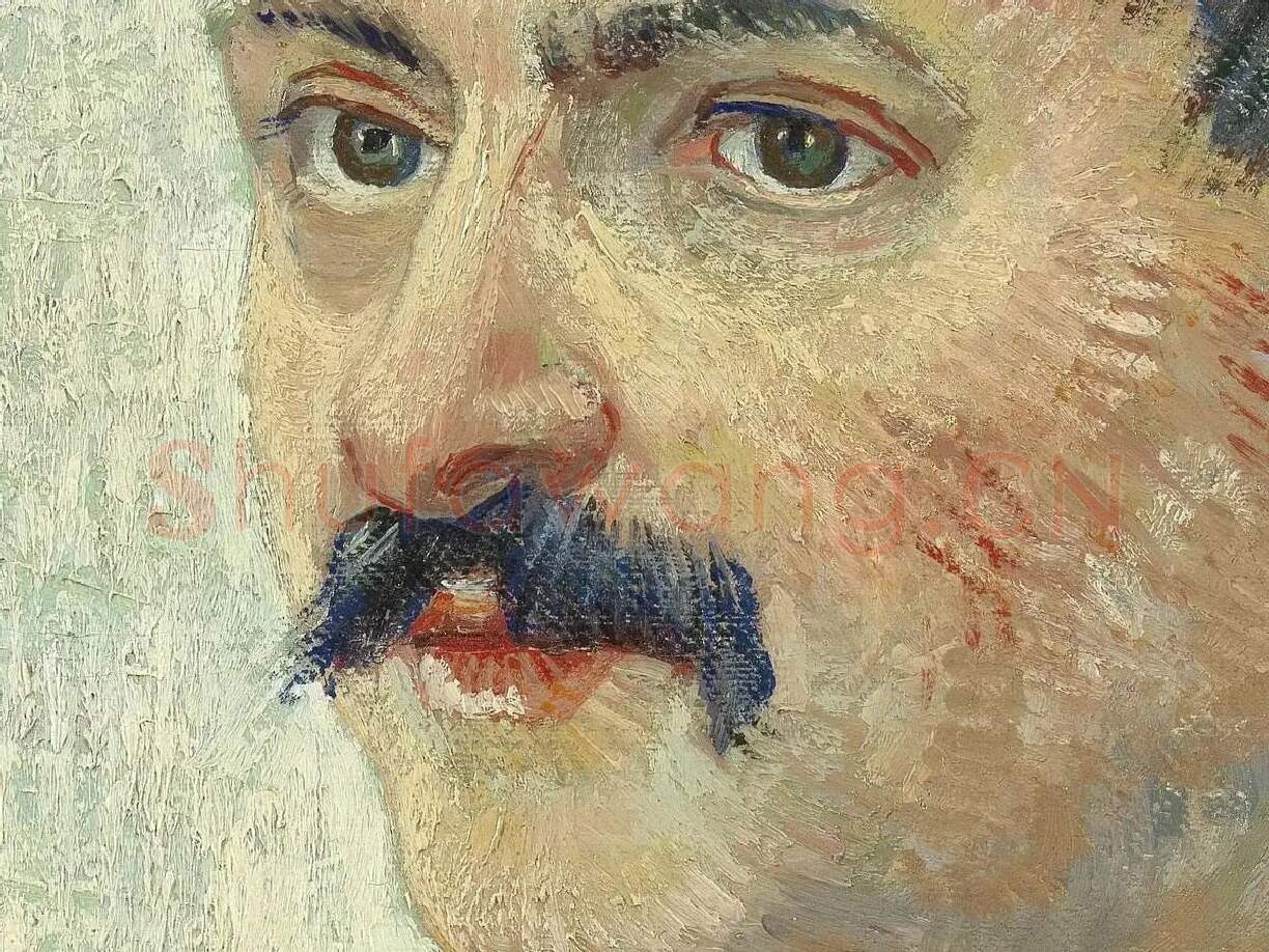 梵高油画人物作品《戴帽子的男人肖像》局部 (1)