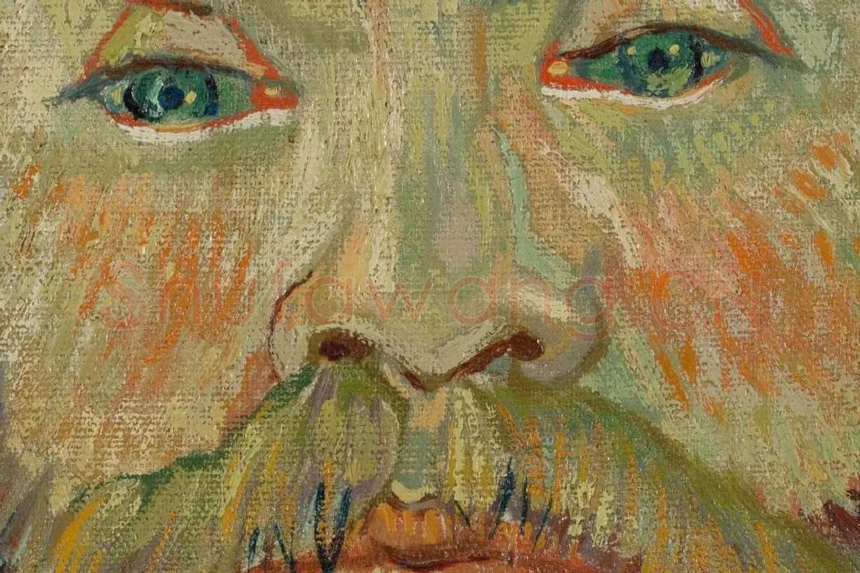 幅梵高油画肖像作品《邮差约瑟夫·鲁林的肖像》局部 (5)