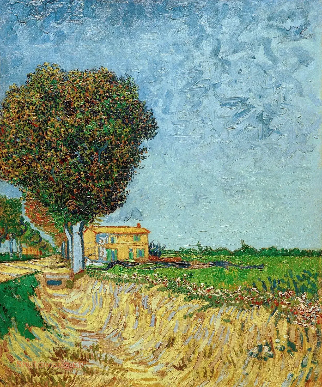 A-Lane-near-Arles