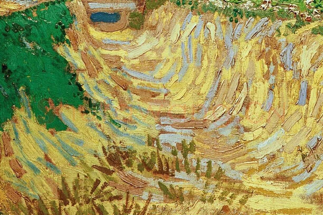 梵高风景画作品《阿尔勒附近的一条小巷》局部细节 (1)