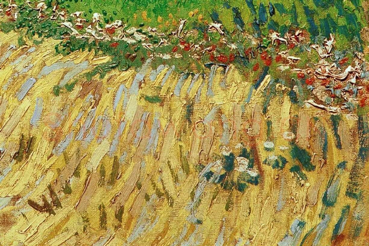 梵高风景画作品《阿尔勒附近的一条小巷》局部细节 (2)