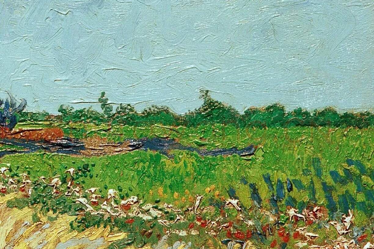 梵高风景画作品《阿尔勒附近的一条小巷》局部细节 (3)