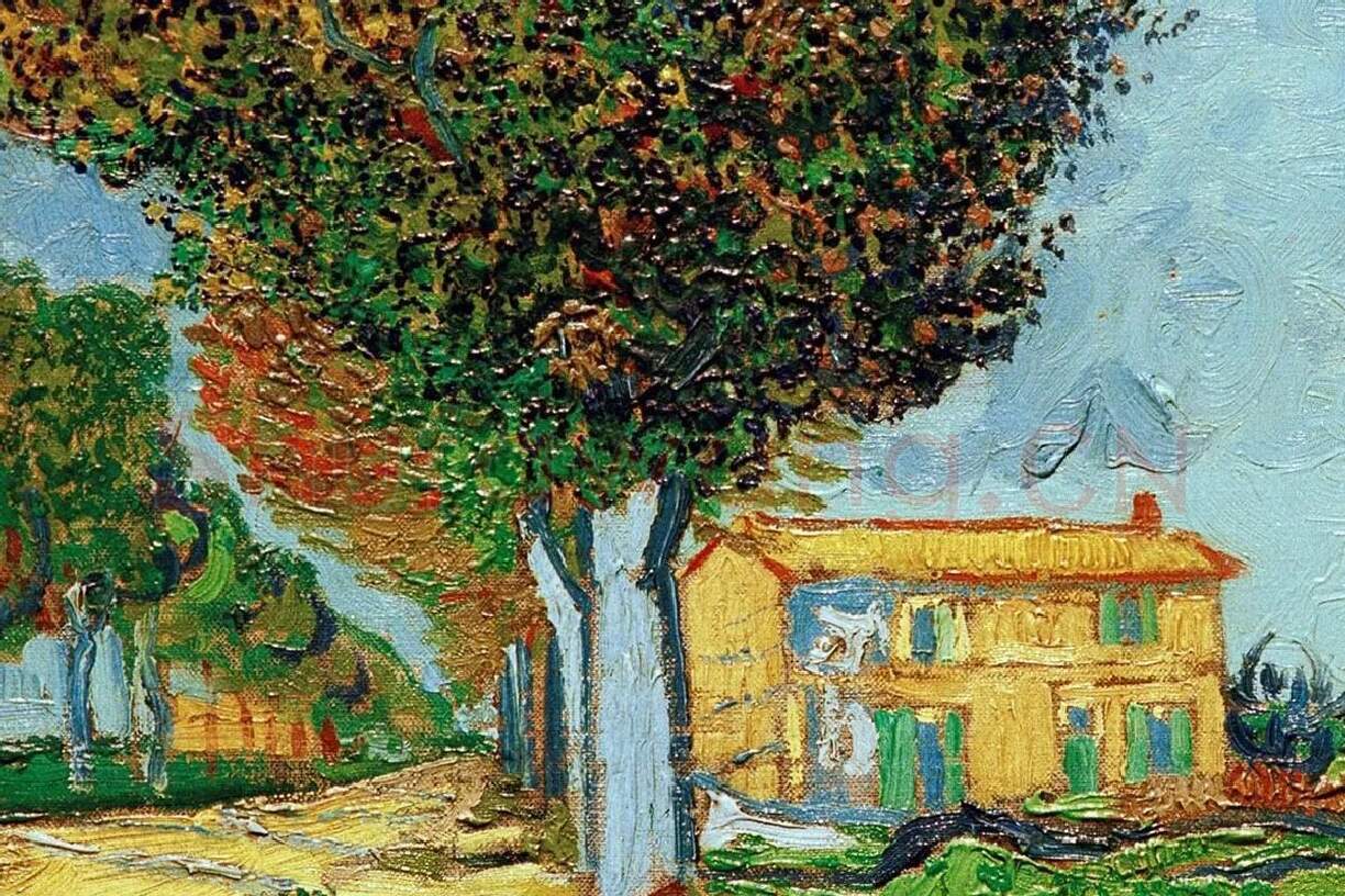 梵高风景画作品《阿尔勒附近的一条小巷》局部细节 (4)