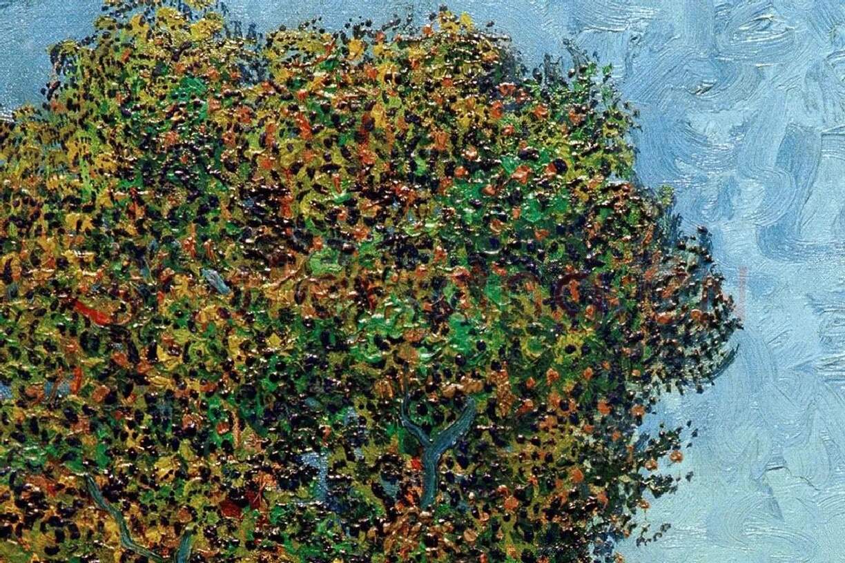 梵高风景画作品《阿尔勒附近的一条小巷》局部细节 (5)