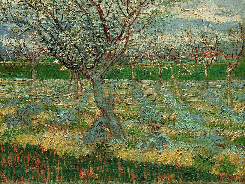 梵高油画风景《盛开的杏花》