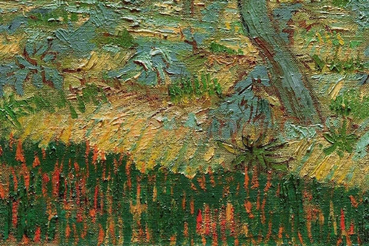 梵高油画风景《盛开的杏花》局部 (1)