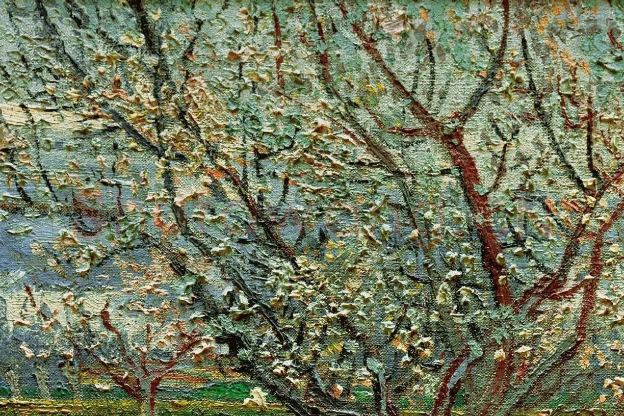 梵高油画风景《盛开的杏花》局部 (4)